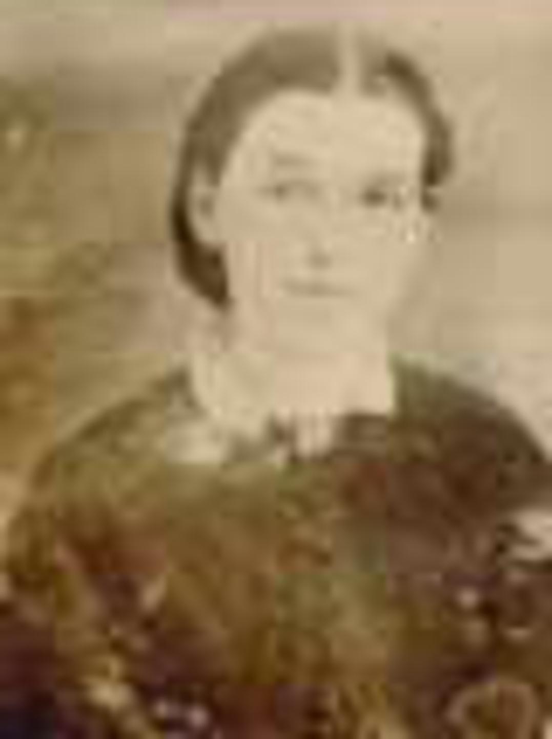 Sophia Clifton (1843 - 1879) Profile